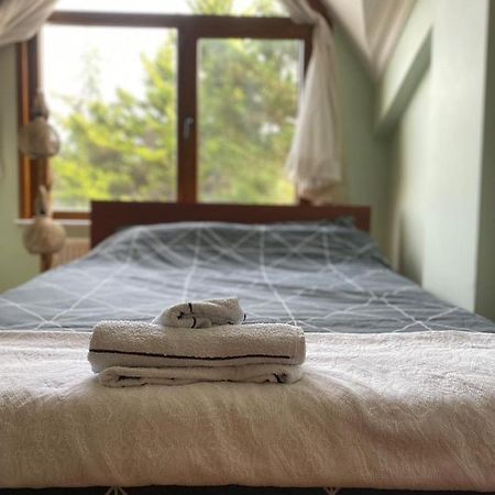Otantik Havalimanina Yakin Villa Arnavutkoy Extérieur photo