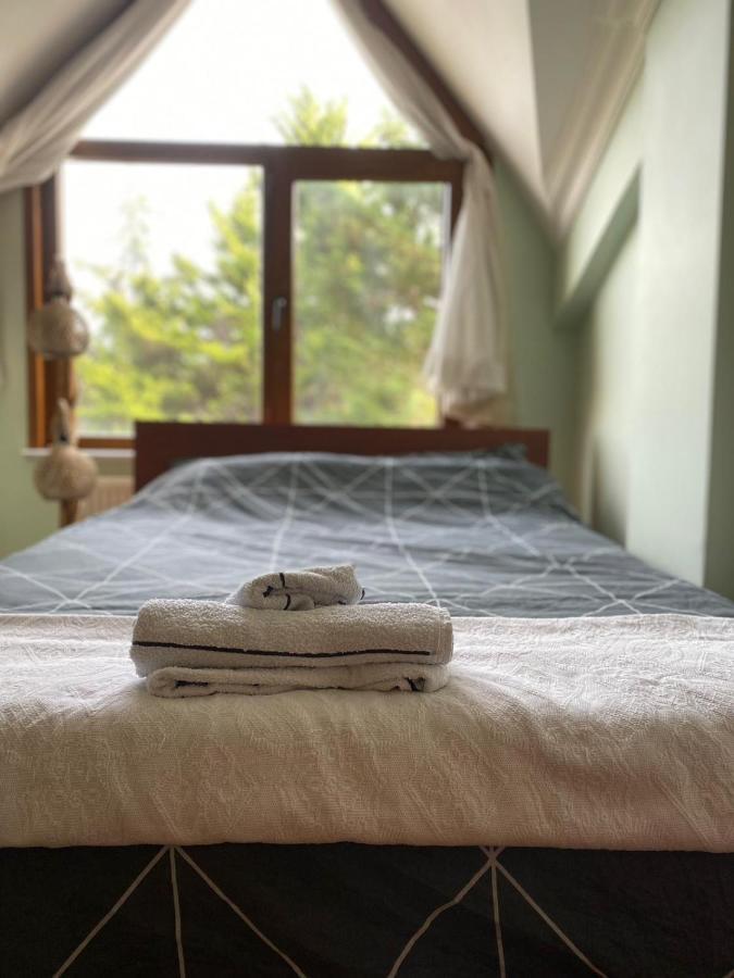 Otantik Havalimanina Yakin Villa Arnavutkoy Extérieur photo